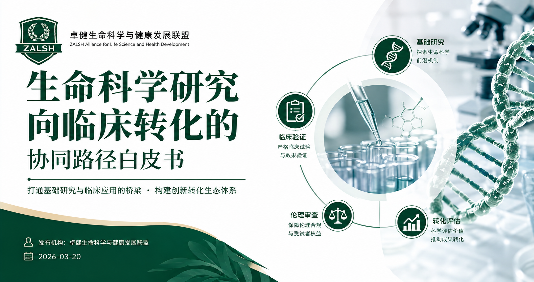 生命科学研究向临床转化的协同路径白皮书